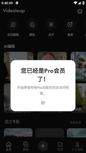 Videoleap破解版
