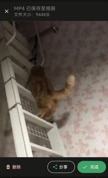 小萌GIF