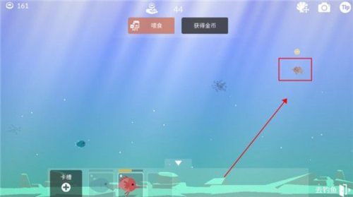 钓鱼生活