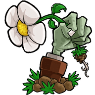 植物大战僵尸转基因版 