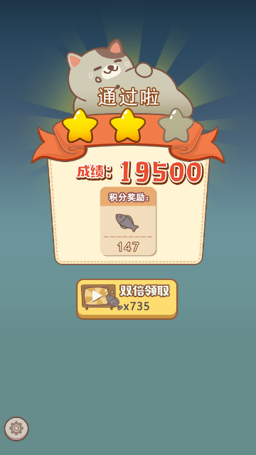 小猫铲屎官