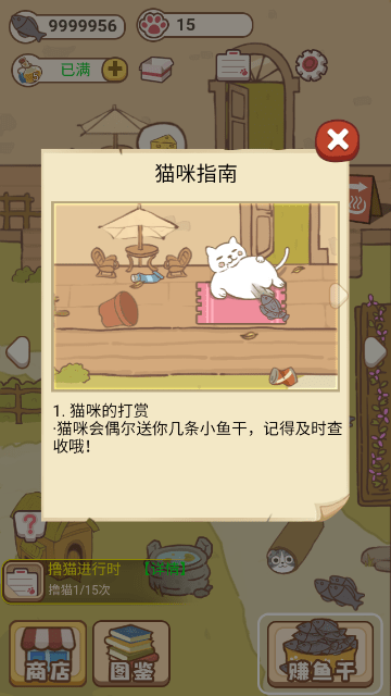 小猫铲屎官