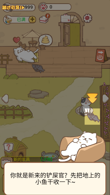 小猫铲屎官