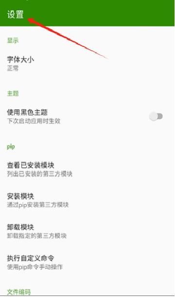 Python编译器