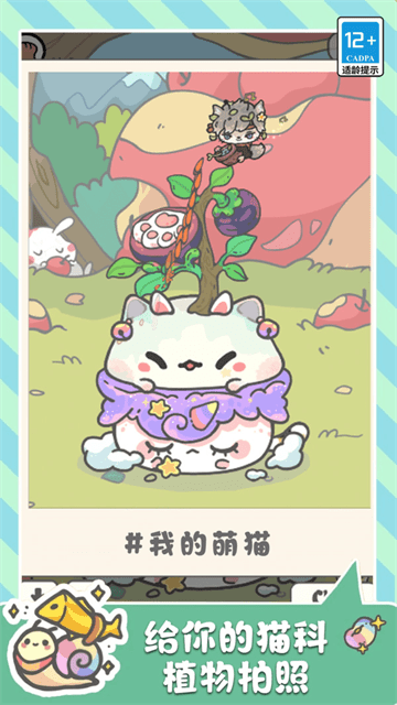 萌猫奇妙世界