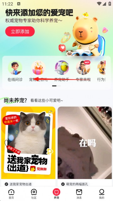 宠胖胖
