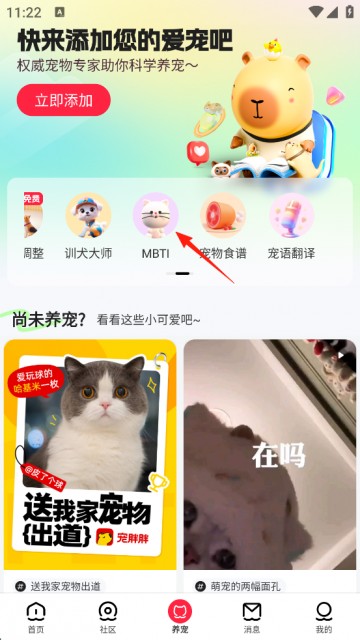 宠胖胖