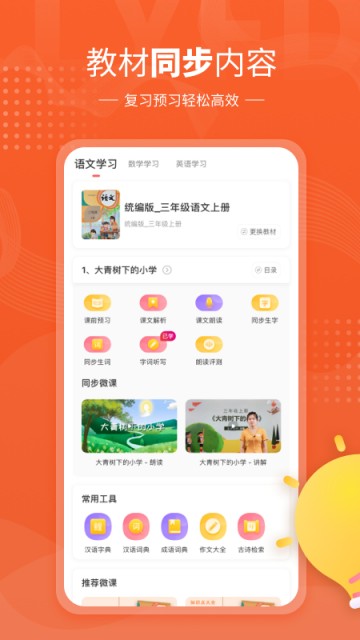 鲤鱼辅导