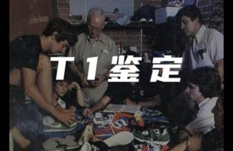 鉴定师(ti鉴定)