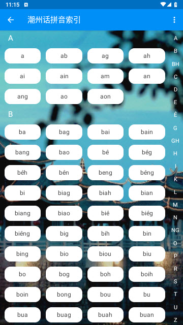 潮州音字典最新版