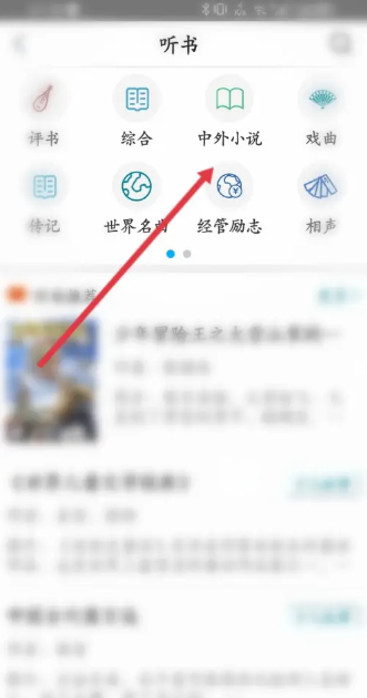 国家数字图书馆