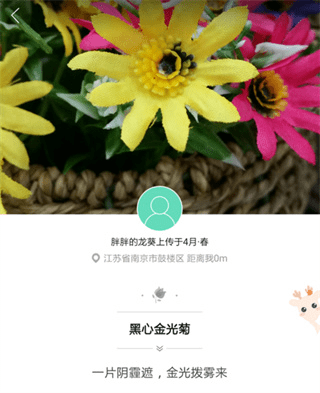 形色