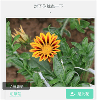形色