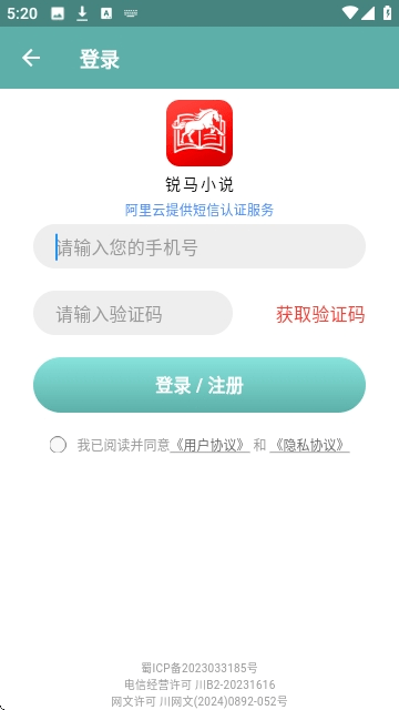 锐马小说
