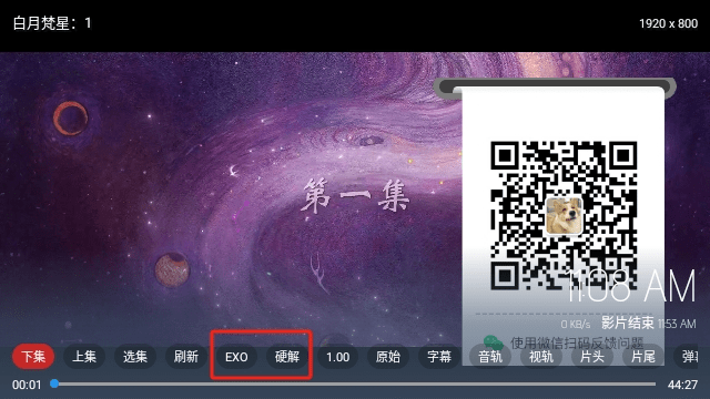 一只猫影视TV