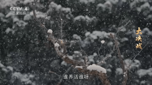 立刻电视