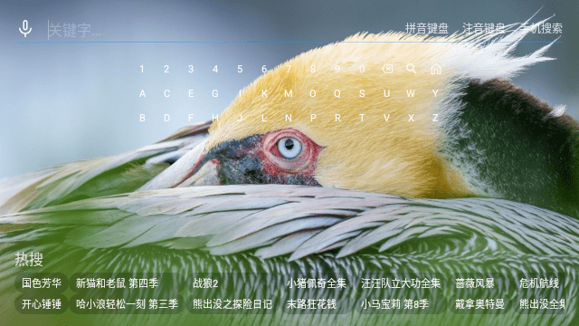 王某某影视MAX