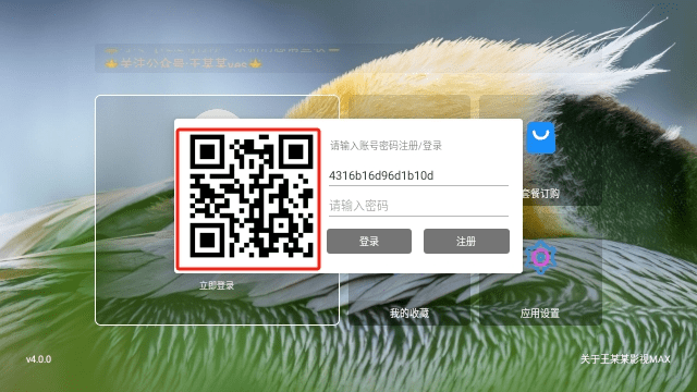 王某某影视MAX