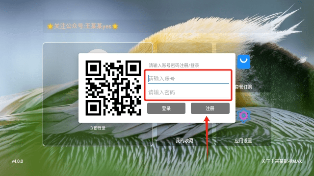 王某某影视MAX