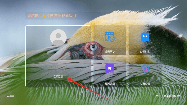 王某某影视MAX