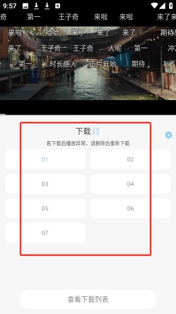 恋鱼影视