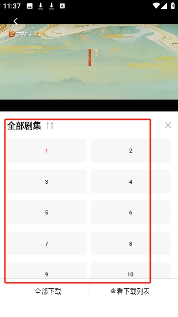 草莓熊影视