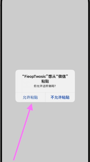 FieopTwosic