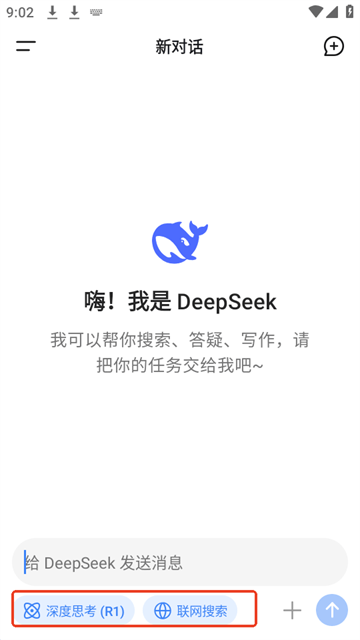 DeepSeek