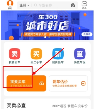 车300二手车
