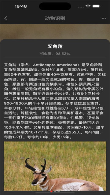 智目识界影视