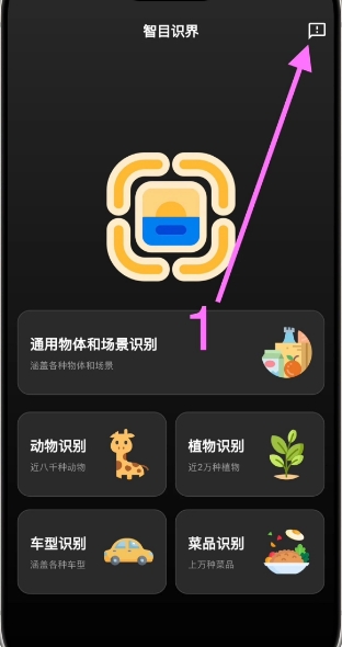 智目识界影视