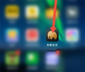 粉象生活
