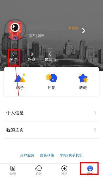 蜂鸟摄影
