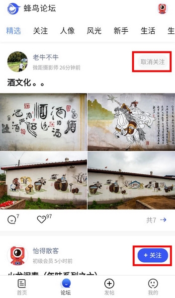 蜂鸟摄影