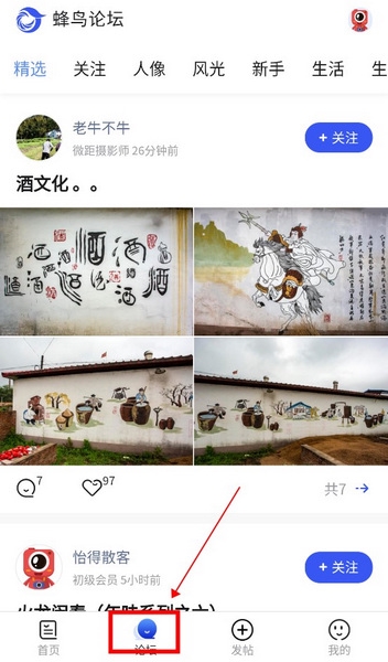 蜂鸟摄影