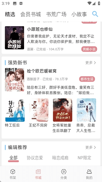 连情小说