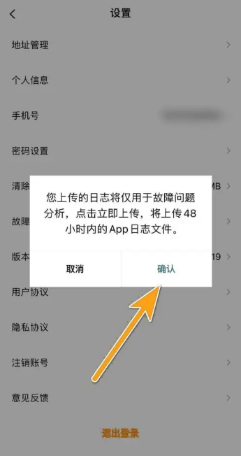 东风风行