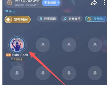 TT语音