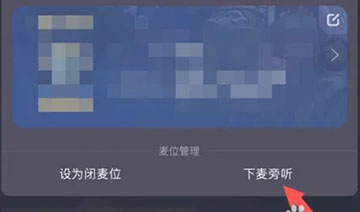TT语音