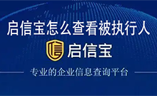 启信宝怎么查看被执行人 启信宝查看被执行人的方法