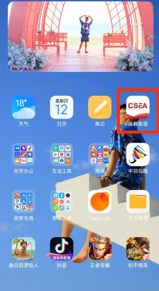 体教联盟