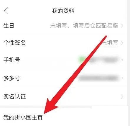 拼多多怎么查看消费总额 拼多多查看消费总额方法