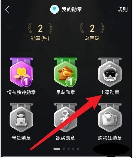 拼多多怎么查看消费总额 拼多多查看消费总额方法
