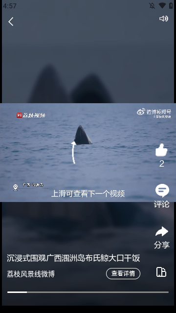 河北日报APP