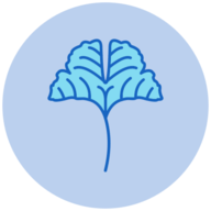 Ginkgo Grow easyTracker影视