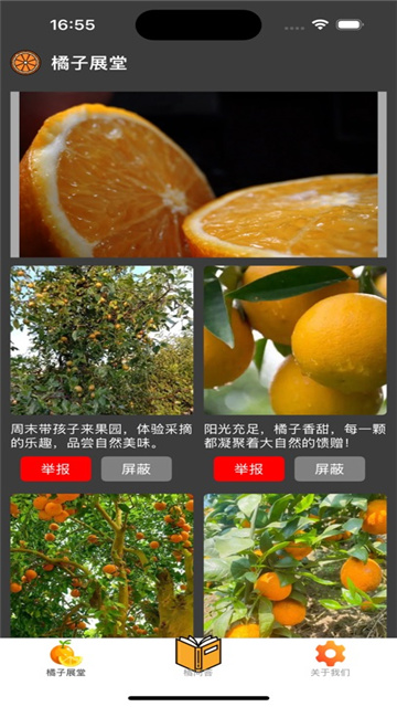橘子看看影视ios版