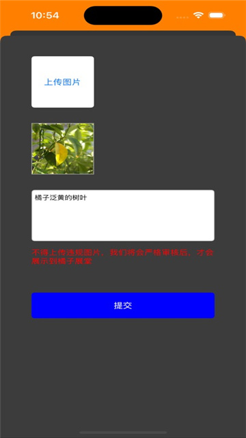 橘子看看影视ios版