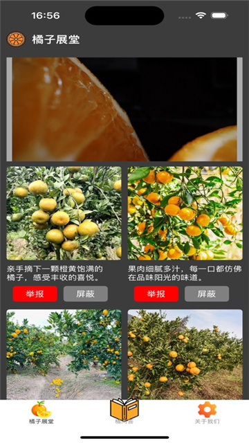 橘子看看影视ios版
