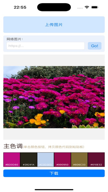 AiGetImageColor影视