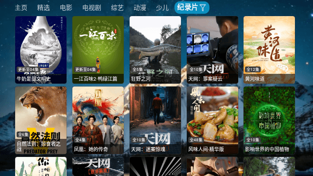 总裁影视